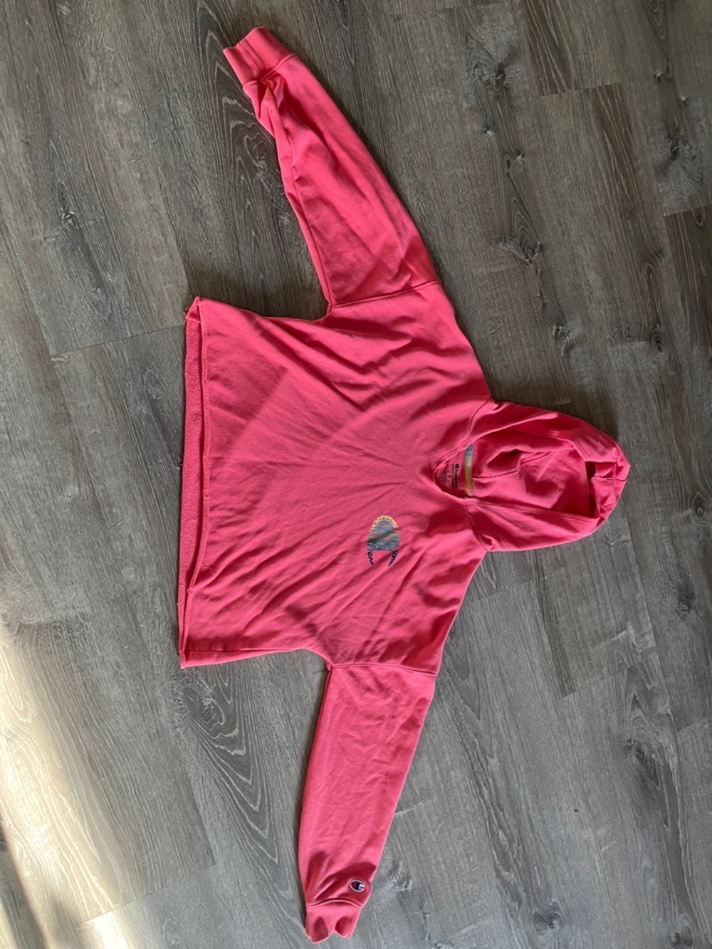 Champion Coral Pink Hoodie with Small Chest Logo